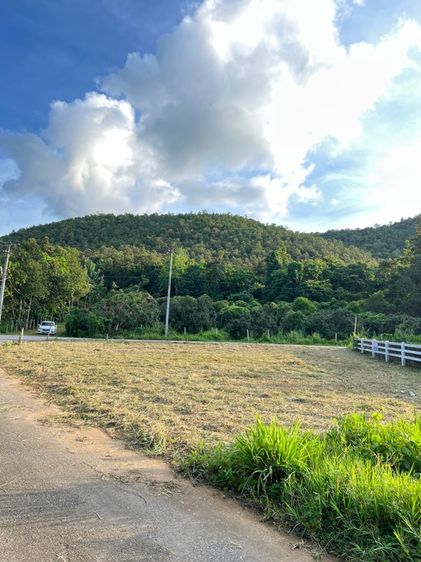 ใช่ ที่ดินวิวเขา เชียงใหม่ รูปที่ 4