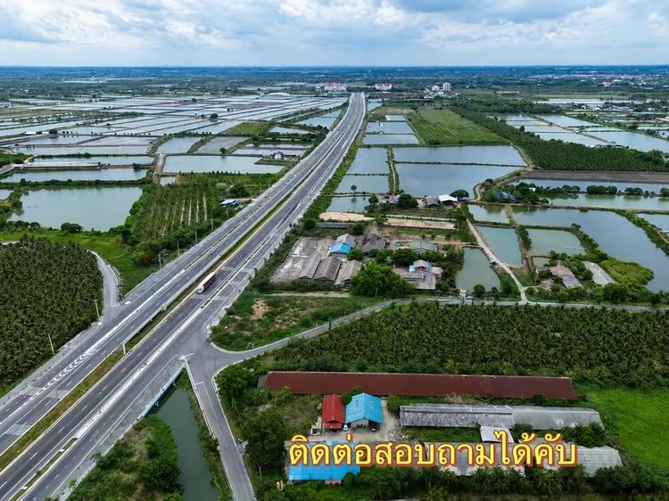 ที่ดินนครปฐม 1ไร่่1งาน73ตาราวา รูปที่ 4