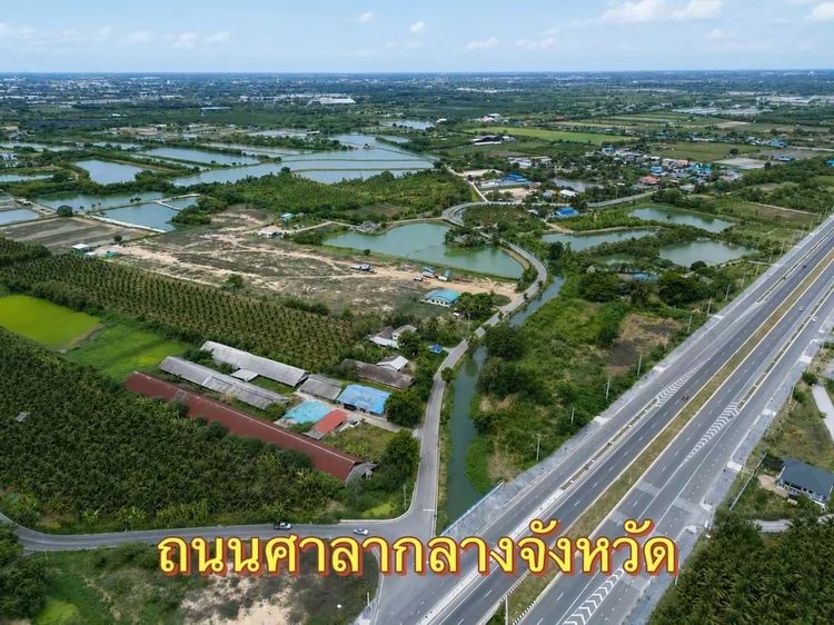 ที่ดินนครปฐม 1ไร่่1งาน73ตาราวา รูปที่ 3