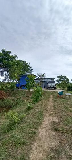 ขายที่วิวเขา