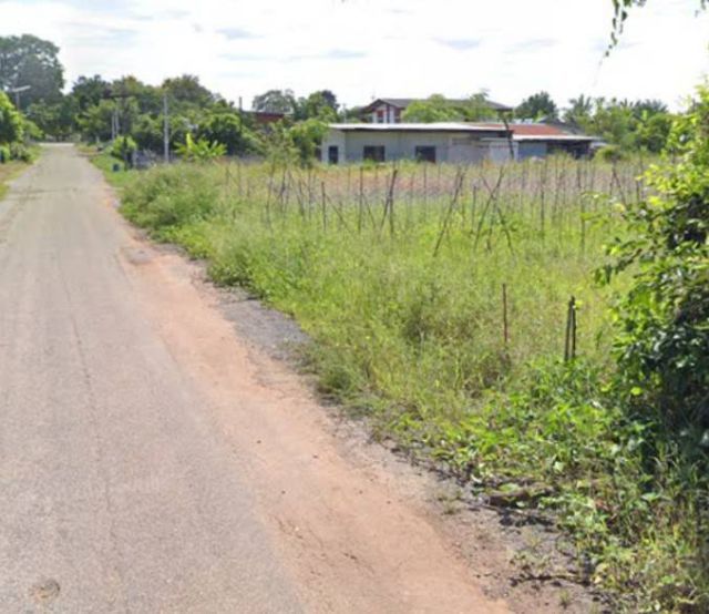 ขายที่ดินเปล่า ชัยภูมิ จัตุรัส ทามจาน ติดถนนลาดยาง 1 ไร่ 2 งาน 53.2 ตร.ว. เพียง 400,000 บาท ขายผ่อน และสด ราคาสบาย รูปที่ 2