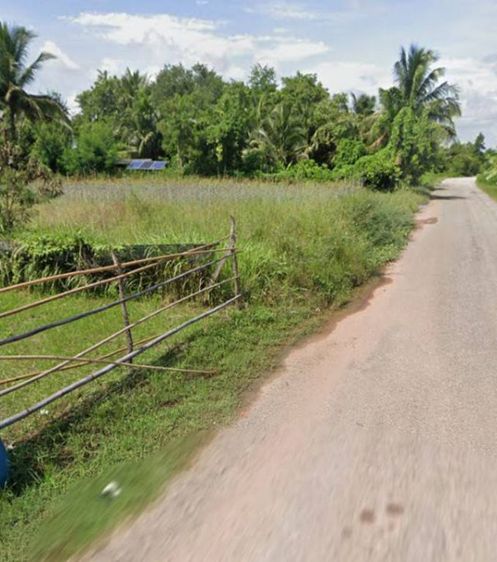 ขายที่ดินเปล่า ชัยภูมิ จัตุรัส ทามจาน ติดถนนลาดยาง 1 ไร่ 2 งาน 53.2 ตร.ว. เพียง 400,000 บาท ขายผ่อน และสด ราคาสบาย รูปที่ 3
