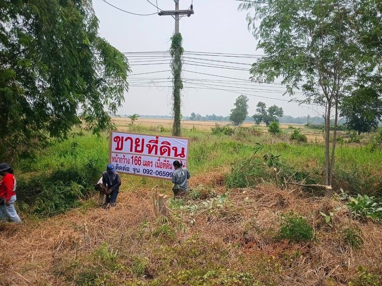 ขายที่ดิน 3 ไร่ ติดสายเอเชีย หางน้ำสาคร ชัยนาท หน้ากว้าง 166 ม. รูปที่ 3