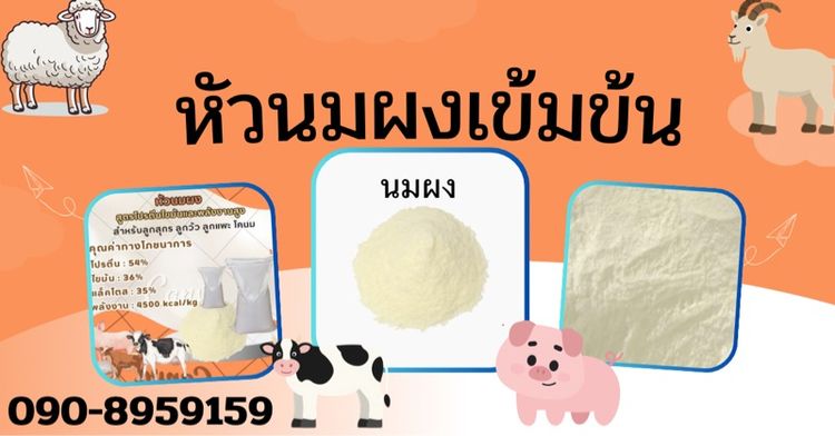 อาหารสัตว์อื่นๆ หัวนมผงเข้มข้นสำหรับสัตว์