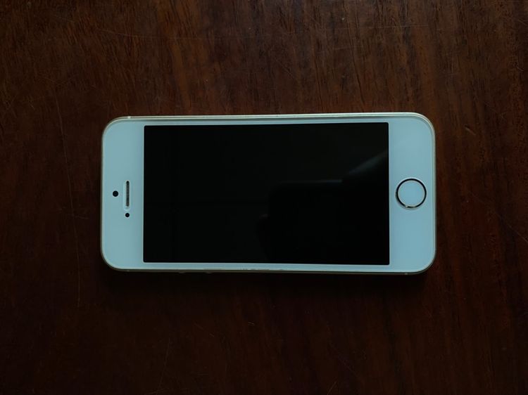 iphone se 1 (2016)