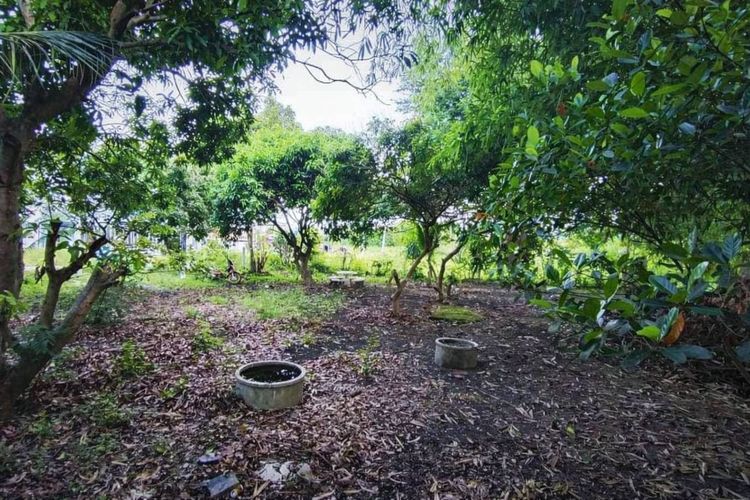 บ้านพร้อมอยู่ + ที่ดินรวม 120 ตร.ว. เจ้าของขายเอง รูปที่ 2