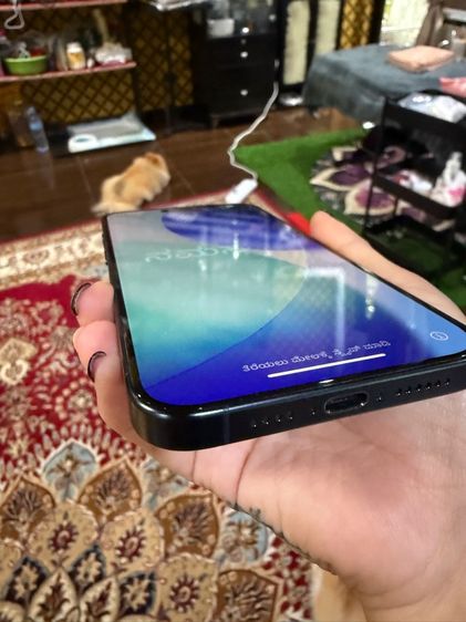 ไอโฟน 15 promax 256 go รูปที่ 15