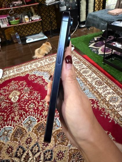 ไอโฟน 15 promax 256 go รูปที่ 6