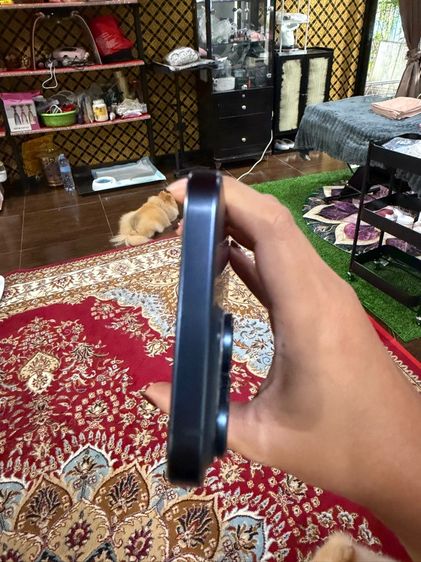 ไอโฟน 15 promax 256 go รูปที่ 9