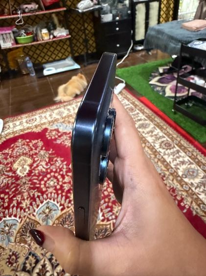 ไอโฟน 15 promax 256 go รูปที่ 8