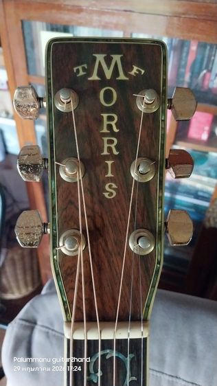 อื่นๆ กีต้าร์โปร่ง Morris TF-820 Vintage Acoustic Guitar 