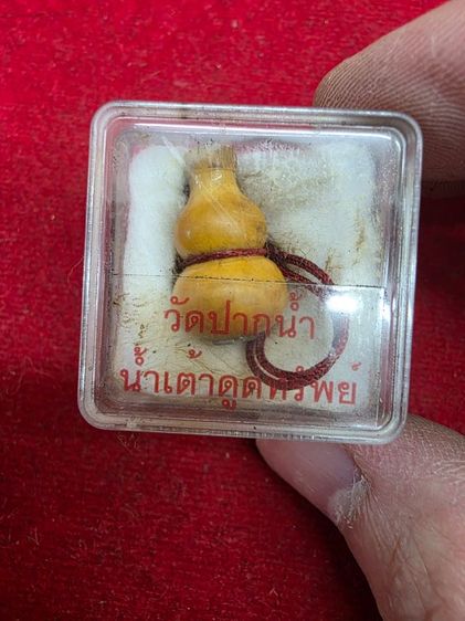 น้ำเต้า ดูดทรัพย์ วัดปากน้ำ สวยเก่าเก็บเดิมๆ สวยหนักๆ ขายเป็นชิ้นงานของสะสม ตามสภาพ ไม่ได้รับประกัน พร้อมส่ง