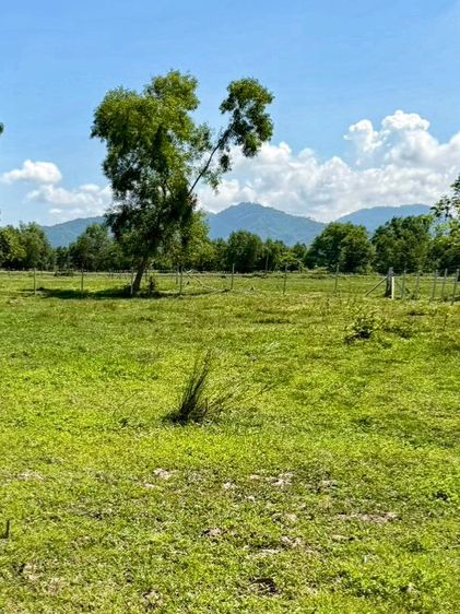 ขายที่ดินวิวภูเขา 1 ไร่ 3 งาน 79 ตร.ว. บ้านพร้าว บ้านนา นครนายก ⛰️🍃 รูปที่ 2
