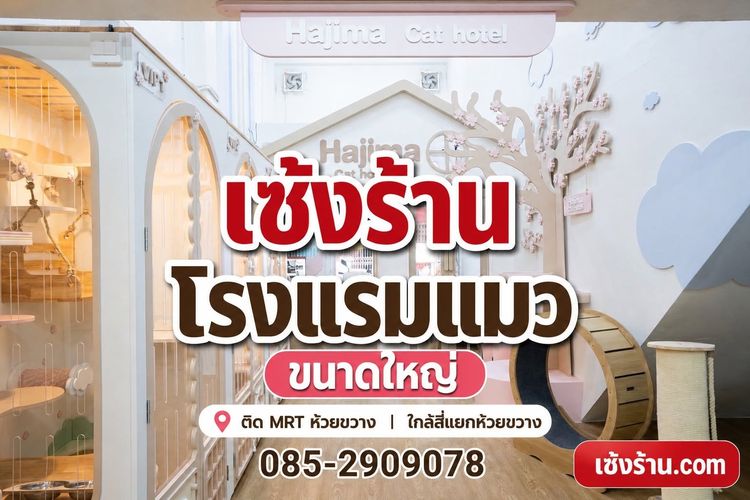 อื่นๆ เซ้งร้านโรงแรมแมว ขนาดใหญ่ ติด MRT ห้วยขวาง มีฐานลูกค้าประจำ ใกล้สี่แยกห้วยขวา