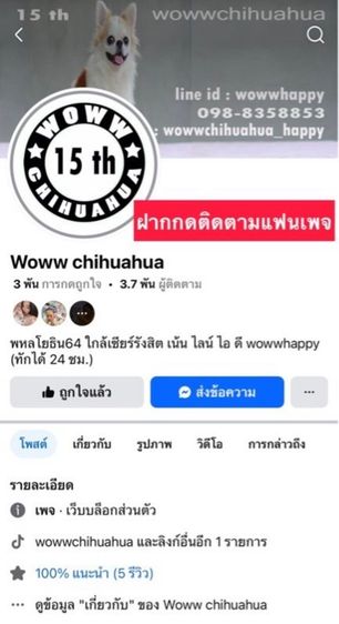 ว้าวชิวาวา กทม. ชิวาวาแท้ วัคซีนแล้วทุกตัว มีบริการส่งค่ะ รูปที่ 15