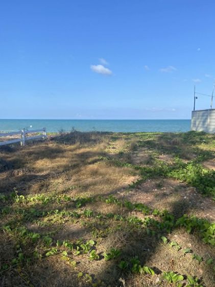 ที่ดินติดทะเล 53 ตรว. หาดคอเขา อ.หลังสวน จ.ชุมพร 