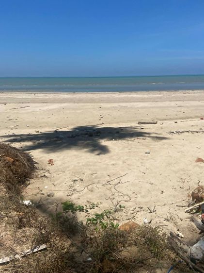 ที่ดินติดทะเล 137 ตรว. หาดหนองน้ำดอนเล อ.ไชยา จ.สุราษฎร์ธานี  รูปที่ 2