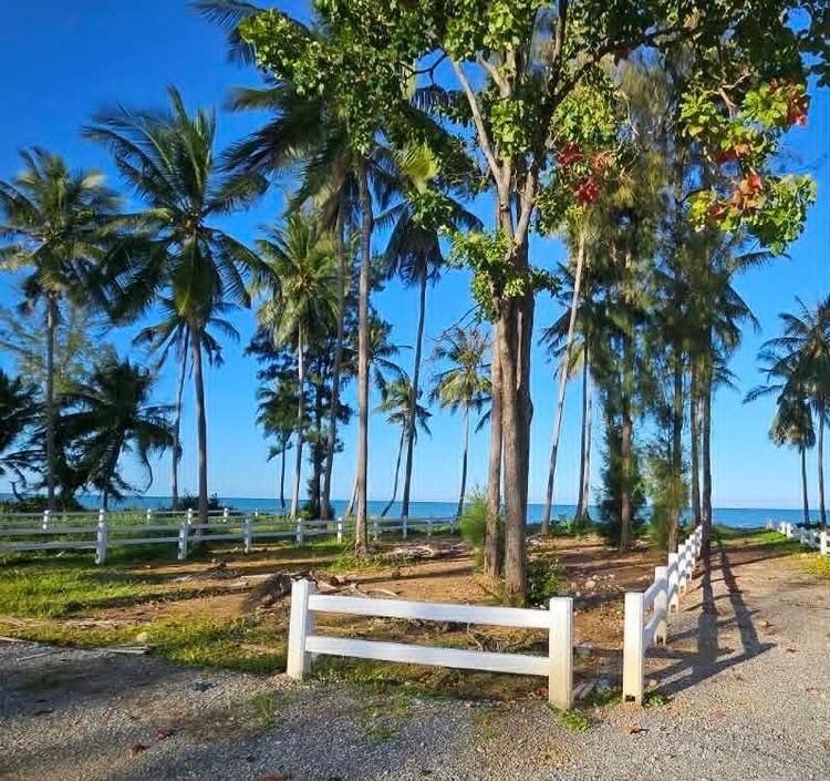 ที่ดินติดทะเล 137 ตรว. หาดหนองน้ำดอนเล อ.ไชยา จ.สุราษฎร์ธานี 