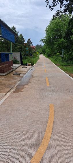 ประกาศขายที่ดินเปล่า ต.ปากน้ำ อ.หลังสวน จ.ชุมพร