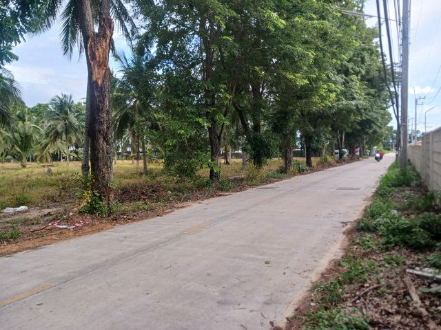 ที่ดินโซนโรงงาน