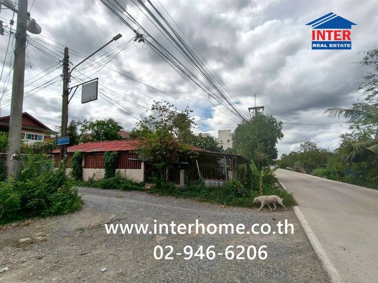 ที่ดินเปล่า 50 ตร.ว. ที่ดิน ซอยคลองห้าตะวันตก ซอยพุ่มพวง ถนนรังสิต-นครนายก (ทล.305) คลองหลวง ปทุมธานี รูปที่ 3