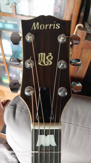 อื่นๆ กีต้าร์โปร่ง Morris MG-50 Vintage Acoustic Guitar Japan 