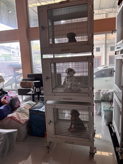 อื่นๆ เล็ก กรง condo 3 ชั้น
