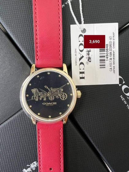 นาฬิกา coach