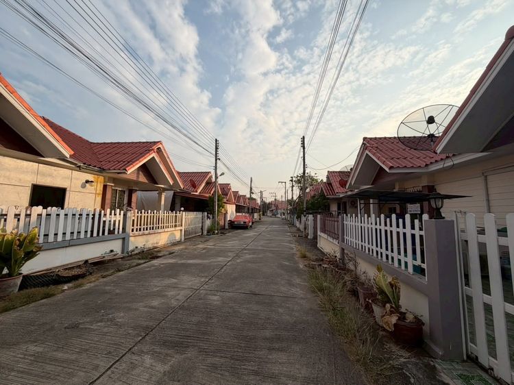 อื่นๆ มีบางส่วน 2025 บ้านคลองสาน เพชรบูรณ์