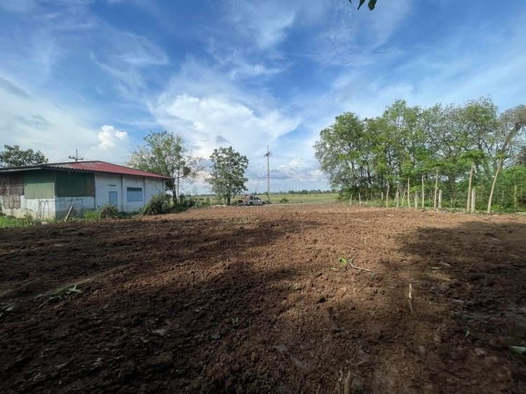 ที่ดินติดริมน้ำ รูปที่ 4