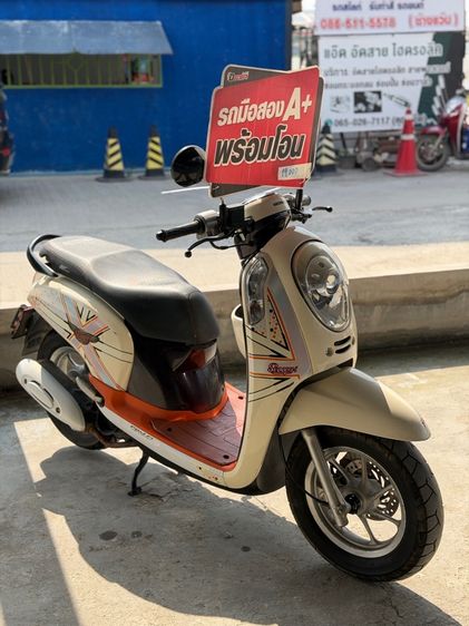 Scoopy 2013