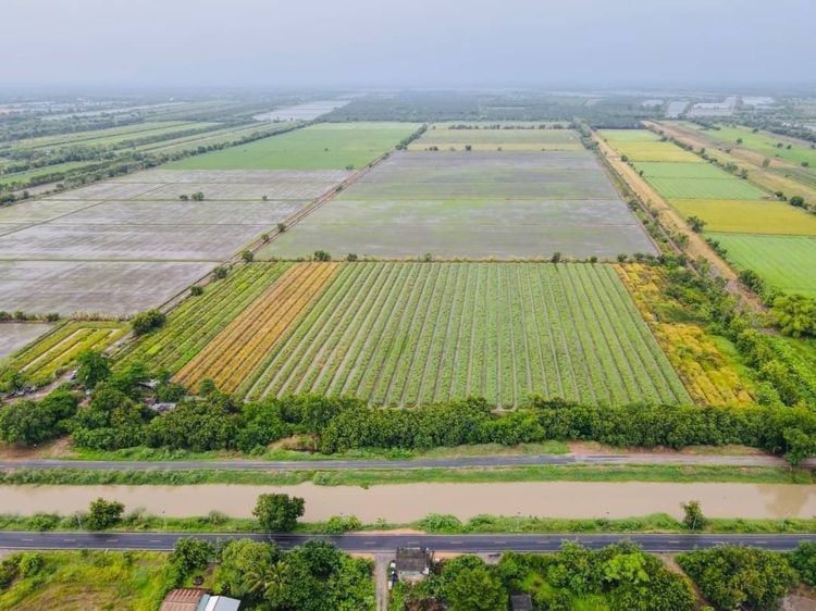 ขายถูกที่ดินสระบุรี 600 ไร่ รูปที่ 3