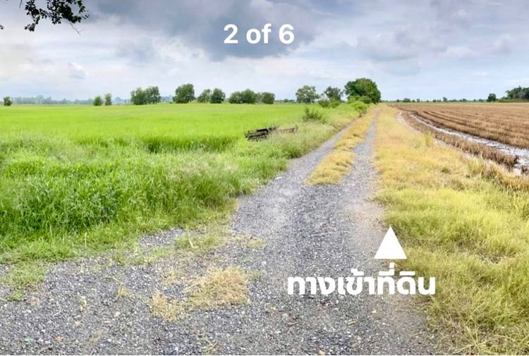 ขายที่ดินแปลงใหญ่ติดคลองแสนแสบ 174 ไร่ 300 ตรว ฉะเชิงเทรา รูปที่ 2