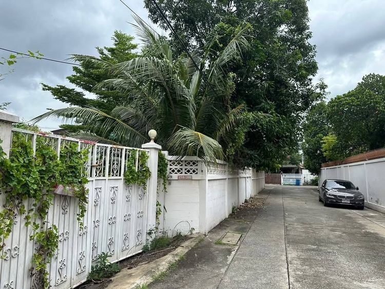 ขายที่ดินสุขุมวิท 71 เข้าออก เอกมัย สุขุมวิท 65 ปรีดี15 แปลงสวยมาก ปรับถมเรียบร้อยแล้ว ถนนหน้าที่ดินกว้าง สภาพแวดล้อมดี น่าอยู่ ใกล้ BTS เอก รูปที่ 4