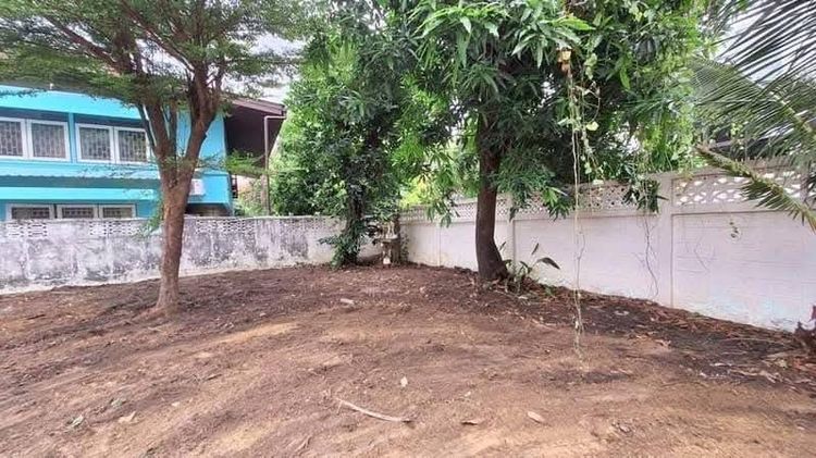 ขายที่ดินสุขุมวิท 71 เข้าออก เอกมัย สุขุมวิท 65 ปรีดี15 แปลงสวยมาก ปรับถมเรียบร้อยแล้ว ถนนหน้าที่ดินกว้าง สภาพแวดล้อมดี น่าอยู่ ใกล้ BTS เอก รูปที่ 3