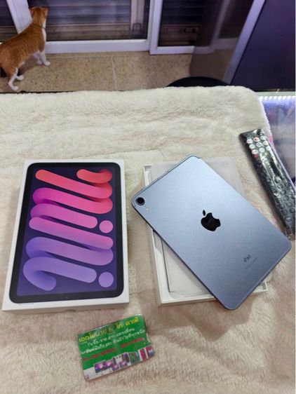  iPad Mini 6 (2021) Wi-Fi Cellular 256GB 8.3 inch Purple รูปที่ 2