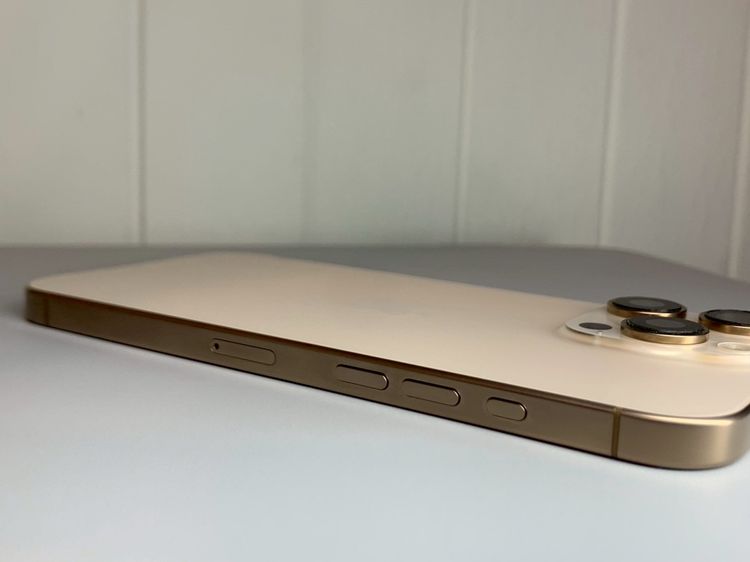 iPhone 16 Pro Max 256GB Desert Titanium รูปที่ 9