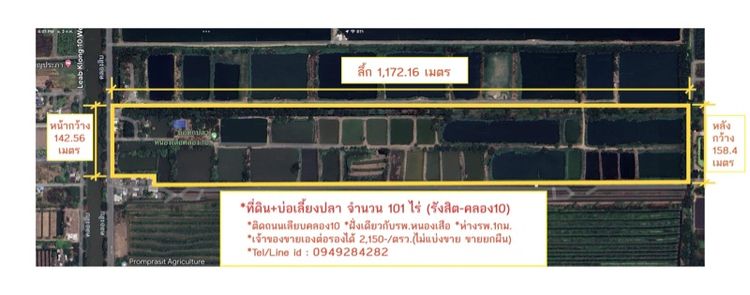 ไม่ใช่ ที่ดินสวย101ไร่ รังสิตคลอง10 รูปที่ 2