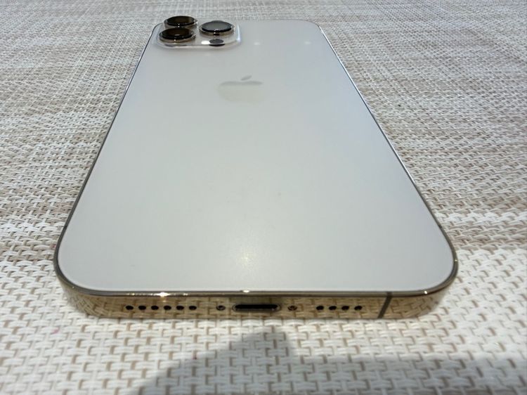 256 GB iPhone 13 Pro Max สีทอง 256 ผ่อนได้