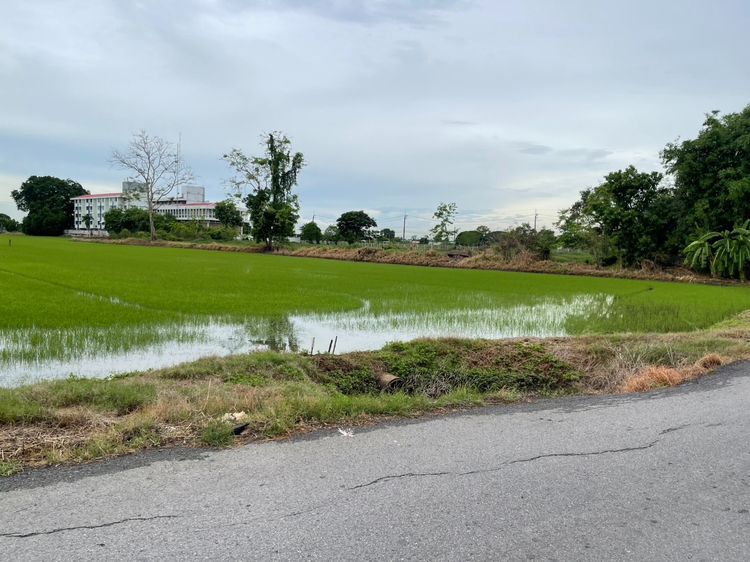 ขายที่ดิน