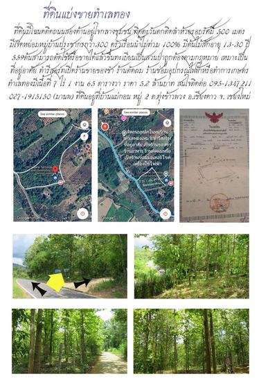 ที่ดิน สวนป่า