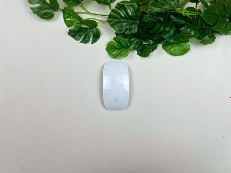 Apple Magic Mouse2 (Lightning)