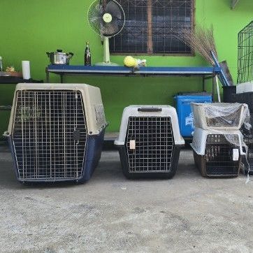 ขายเหมากรง 4 ใบสภาพดี กับ ของใหม่ ขาย 2,000 บาทไม่แยกครับ