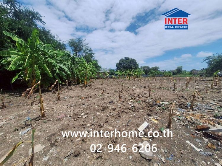 ที่ดินเปล่า 100 ตร.ว. หมู่บ้านมิตรภาพ อ่อนนุช46 ซอยศรีนครินทร์36 ซอยอ่อนนุช46 ถนนอ่อนนุช ถนนศรีนครินทร์ เขตพระโขนง กรุงเทพมหานคร รูปที่ 4