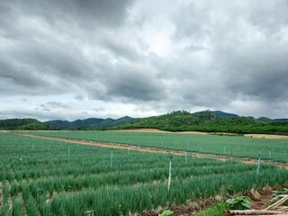 ต้องการประกาศขายที่ดิน