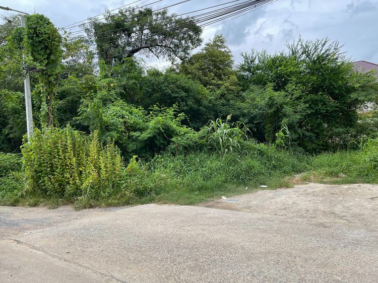 ขายที่ดินเปล่าเมืองแก้วซอย 2 ราชวินิตบางแก้ว 192 ตร.ว ใกล้ห้างเมกาบางนา รูปที่ 2