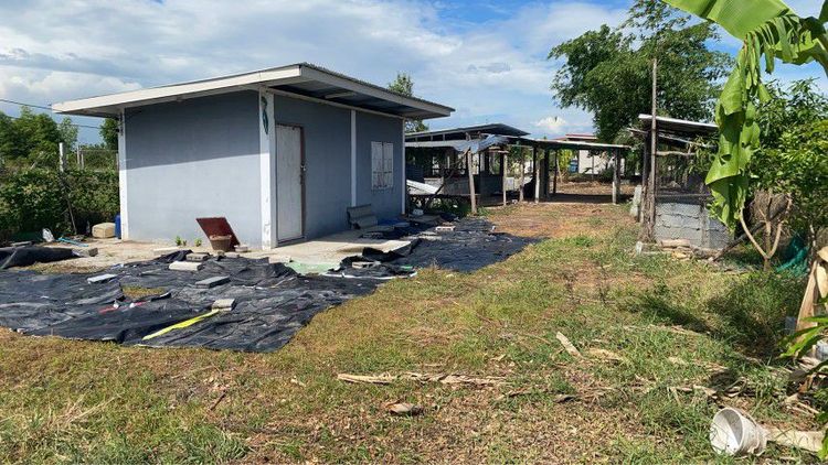 📌ขายบ้านสวนสำหรับคนรักความสงบบรรยากาศดี
🏠 เนื้อที่ 1งาน 25ตรว รูปที่ 4