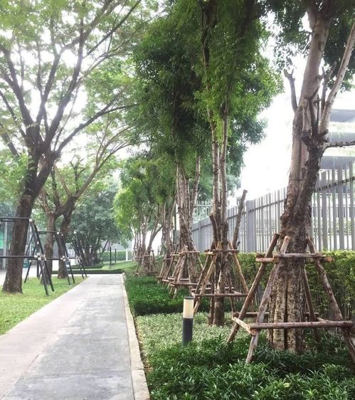 AP (Thailand) ไม่อนุญาต ตกแต่งครบ 2022 Aspire รัตนาธเบศร์ 2 รูปที่ 3