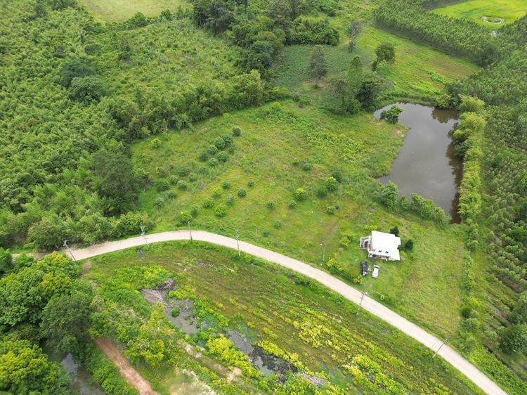 ที่ดินบ้านสวน 8 ไร่ 🌳 มีบ่อน้ำส่วนตัว อ.ประจันตคาม จ.ปราจีนบุรี