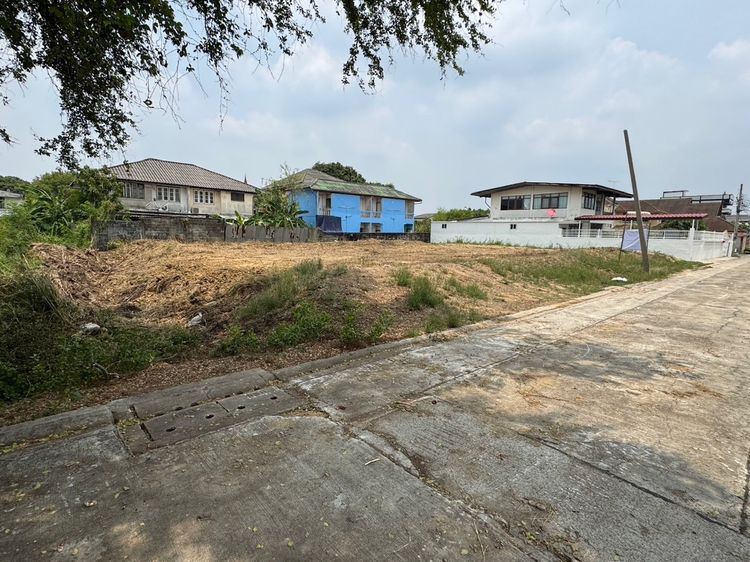 ขายที่ดินเพชรเกษม77 ที่ดินหนองแขม ขนาด 200 ตรว. ซอยสวัสดิการ2 แยก 19 ราคาถูก รูปที่ 3